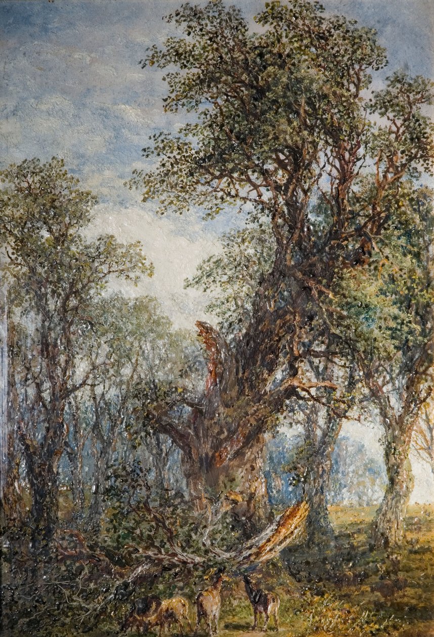 The Broken Bough, 1881. tekijältä Frederick Henry Henshaw