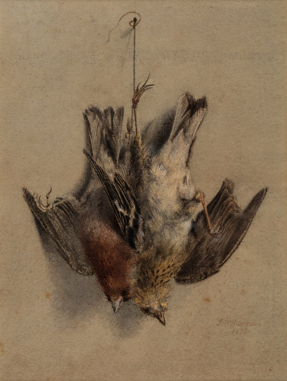 Asetelma, Larks tekijältä Frederick William Jackson