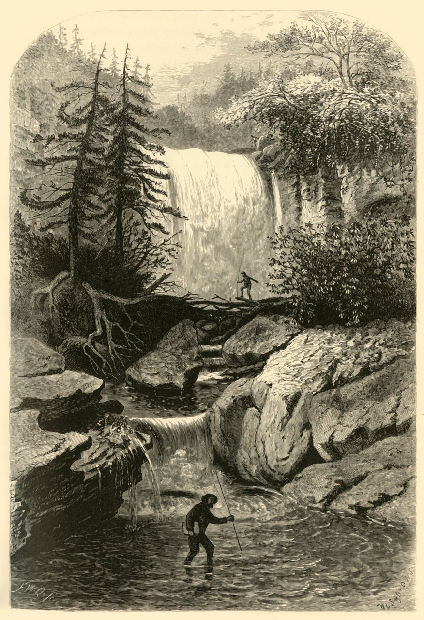 "Falls of the Blackwater", 1872. tekijältä Frederick William Quartley