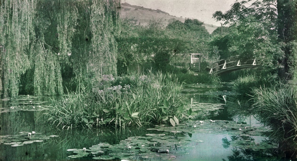 Lummelampi ja japanilainen silta Monet