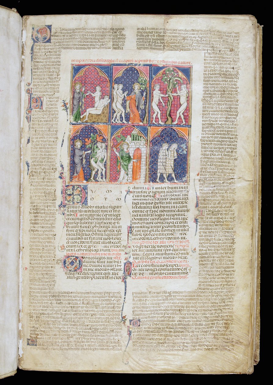 Ms. 262, f.1r: Kuusi kohtausta luomisesta ja lankeemuksesta Gratianuksen kirjasta Decretum, n. 1300 tekijältä French School