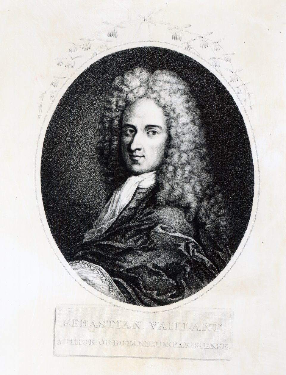 Sebastien Vaillant tekijältä French School