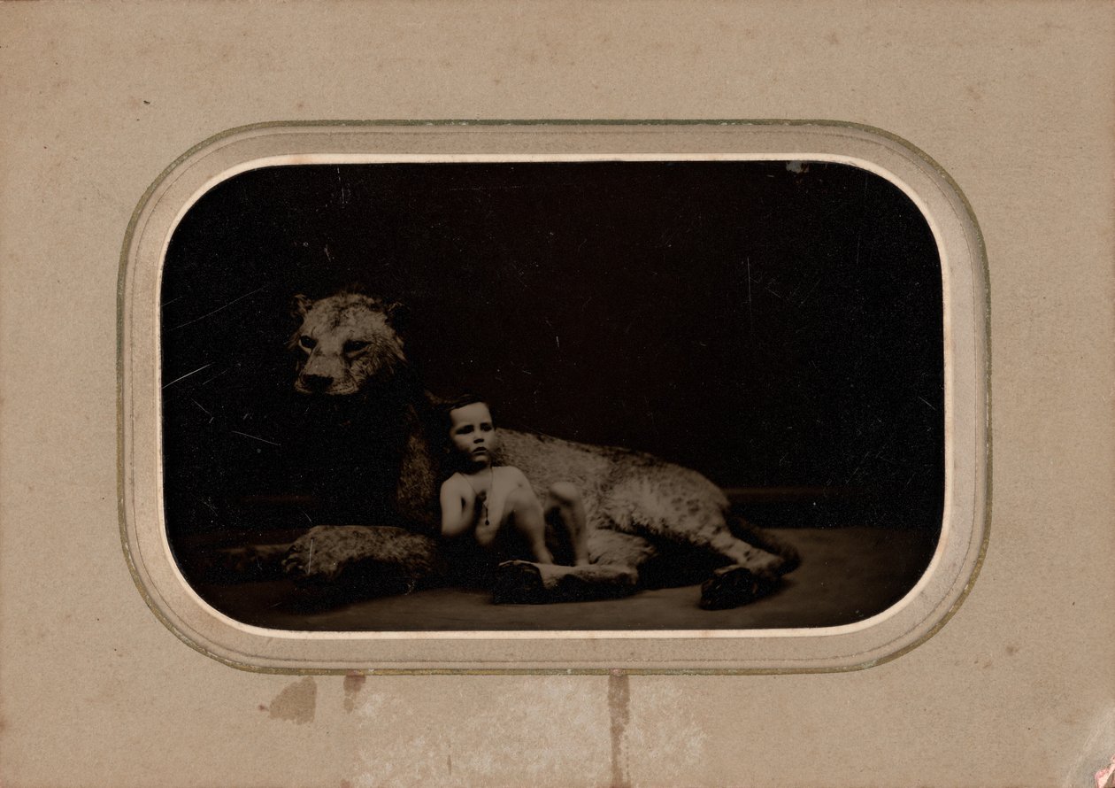 Lapsen muotokuva, n. 1860 (kuva) tekijältä French Photographer