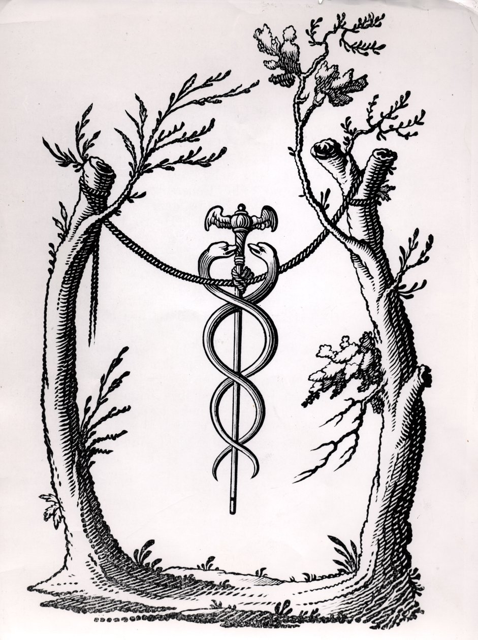Caduceuksessa tekijältä French School