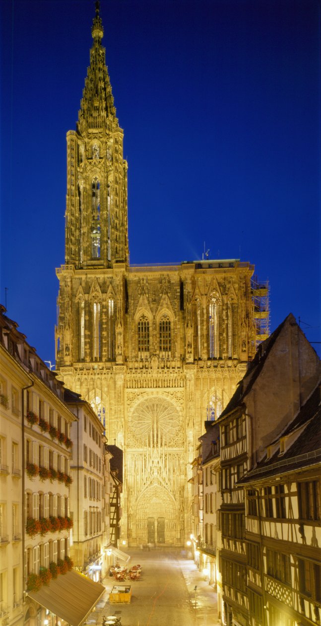Strasbourgin katedraali (Bas Rhin 67) tekijältä French School