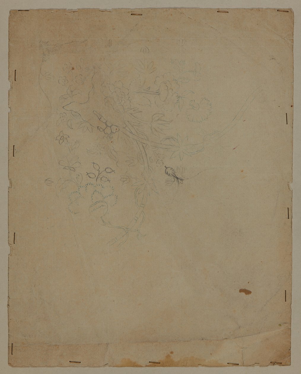 Piirustus, 1700-luvun loppupuoli tekijältä French School