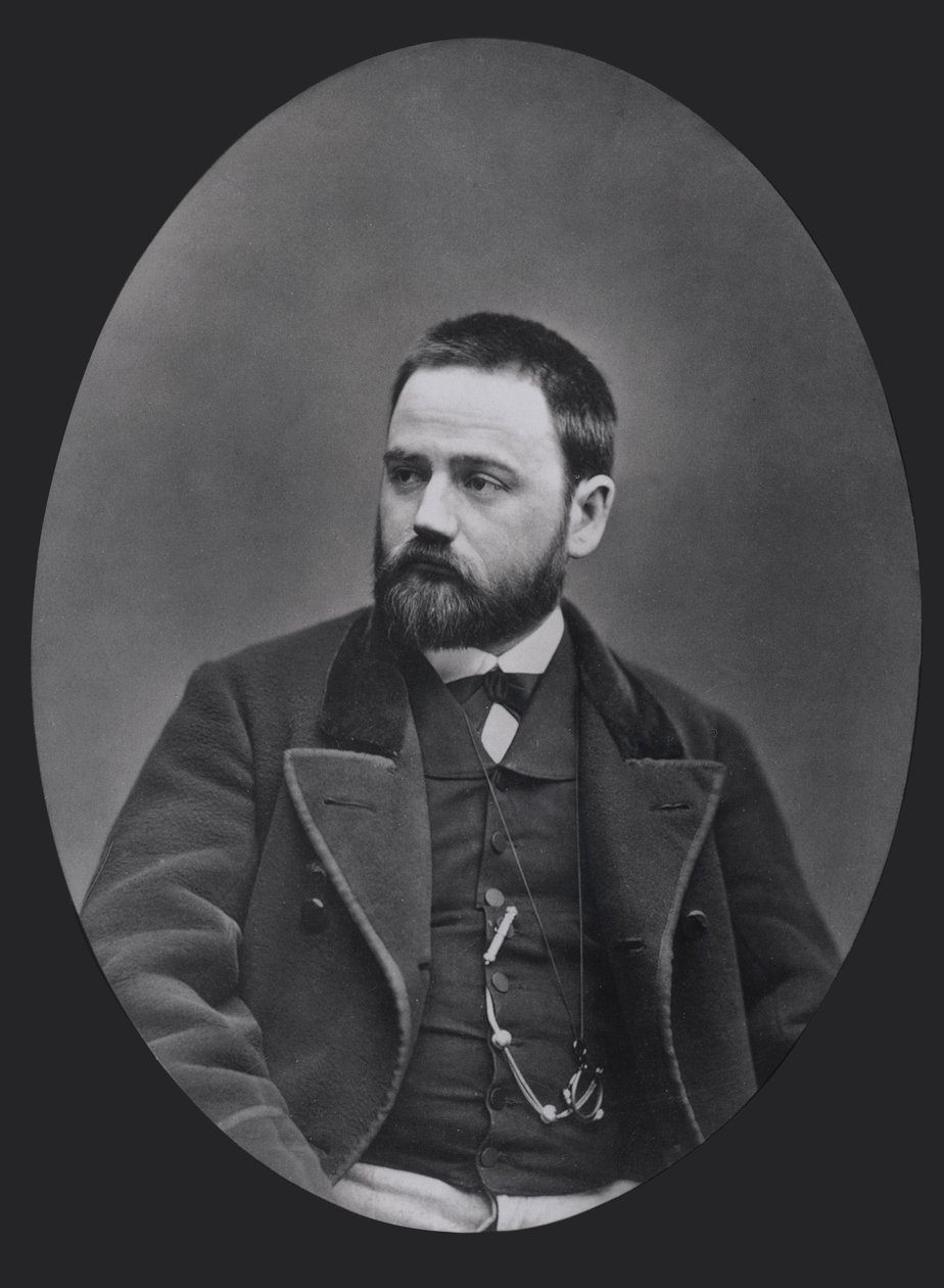 Emile Zola (1840-1902), n. 1870-80 tekijältä French School