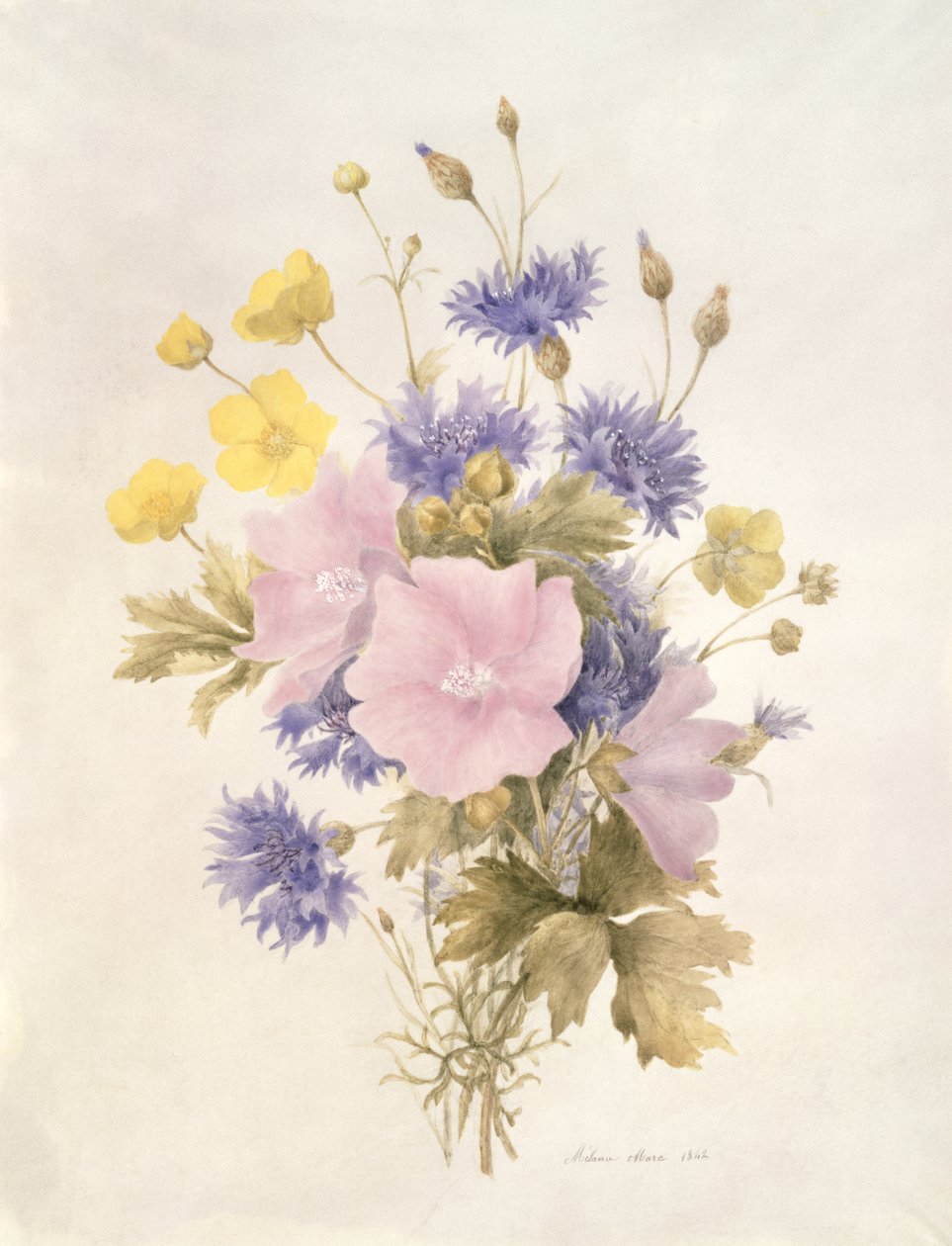 Field Flowers, 1842 (wc paperilla) tekijältä French School