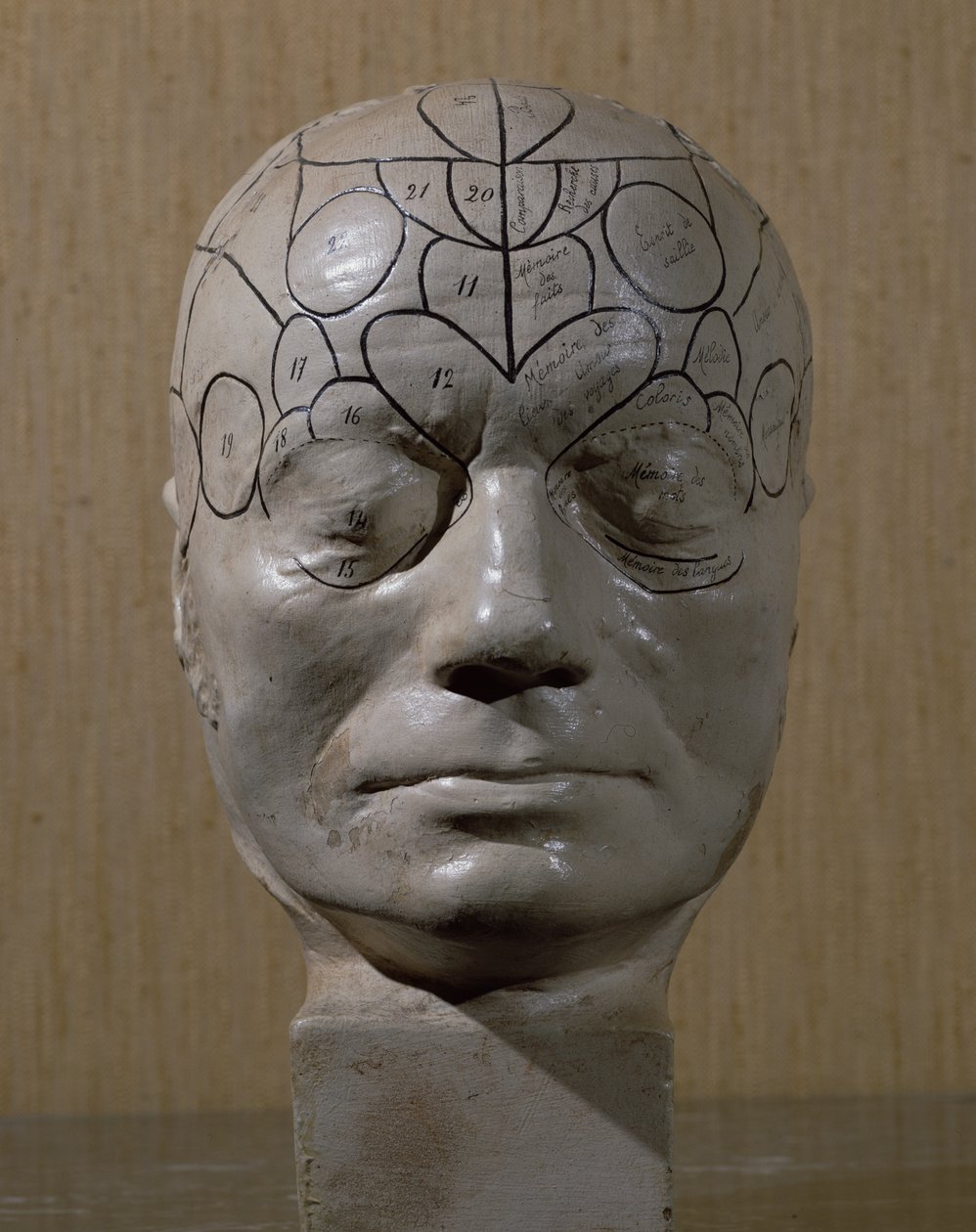 Frenologinen pää, Jean Martin Charcot (keraaminen) tekijältä French School
