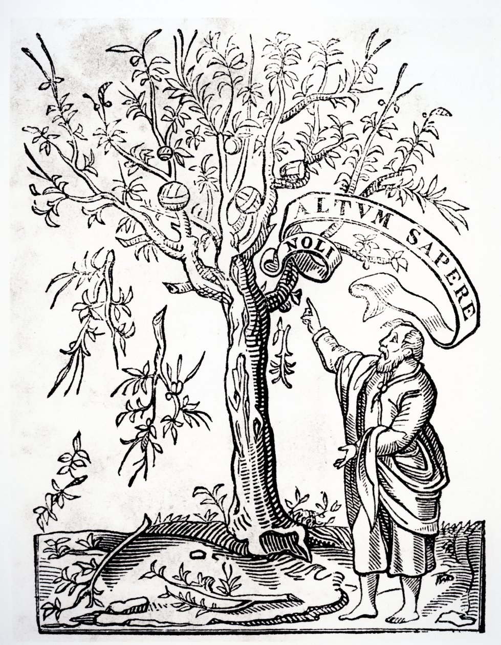 Robert Estiennen kirjapainon tunnus, Pariisi, 1526 tekijältä French School