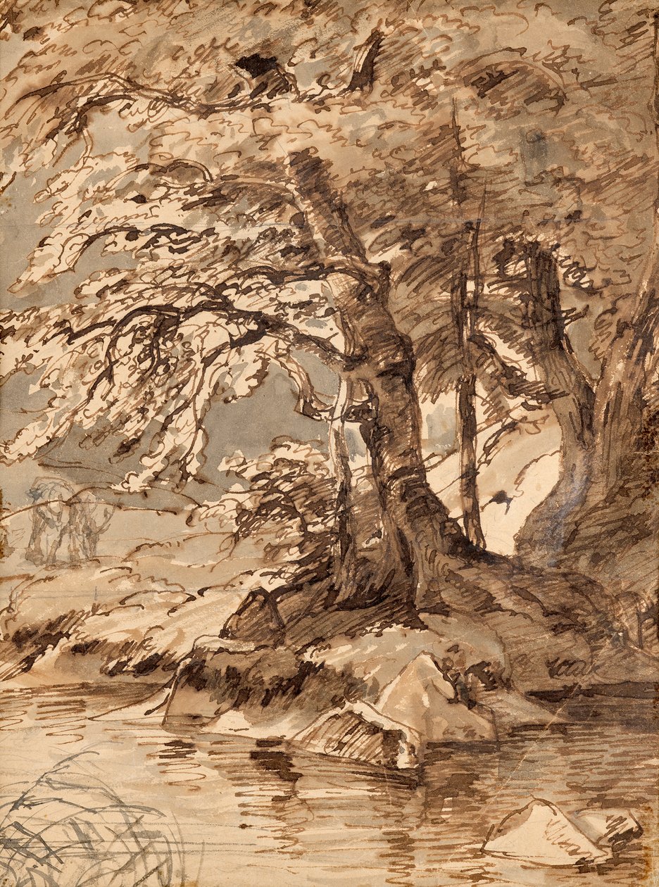 puun tutkimus tekijältä Friedrich August Mathias Gauermann