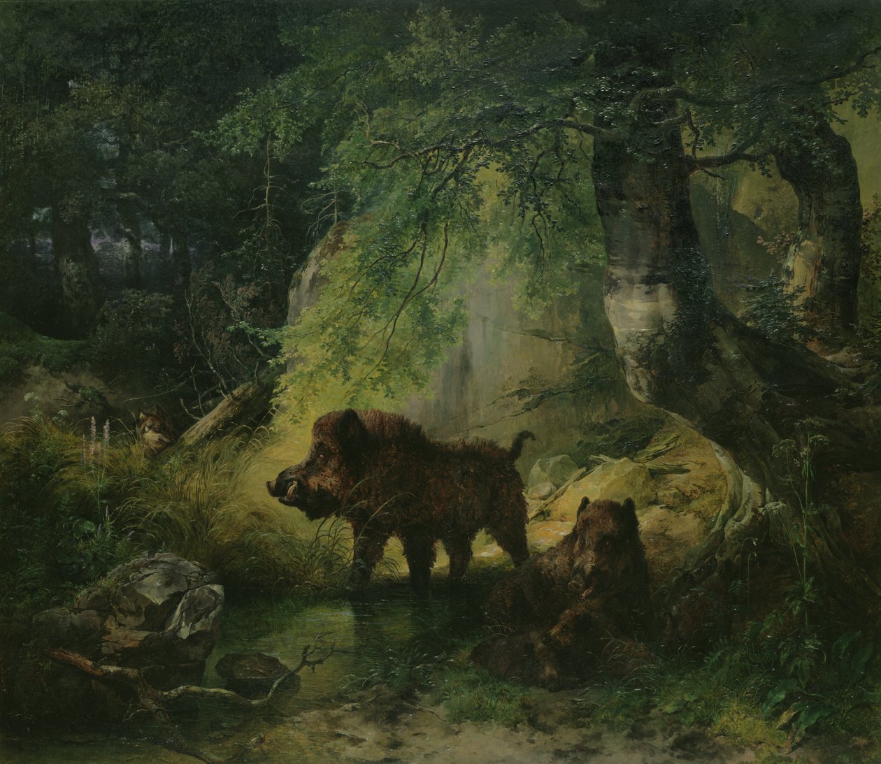 Villisika ja susi tekijältä Friedrich Gauermann