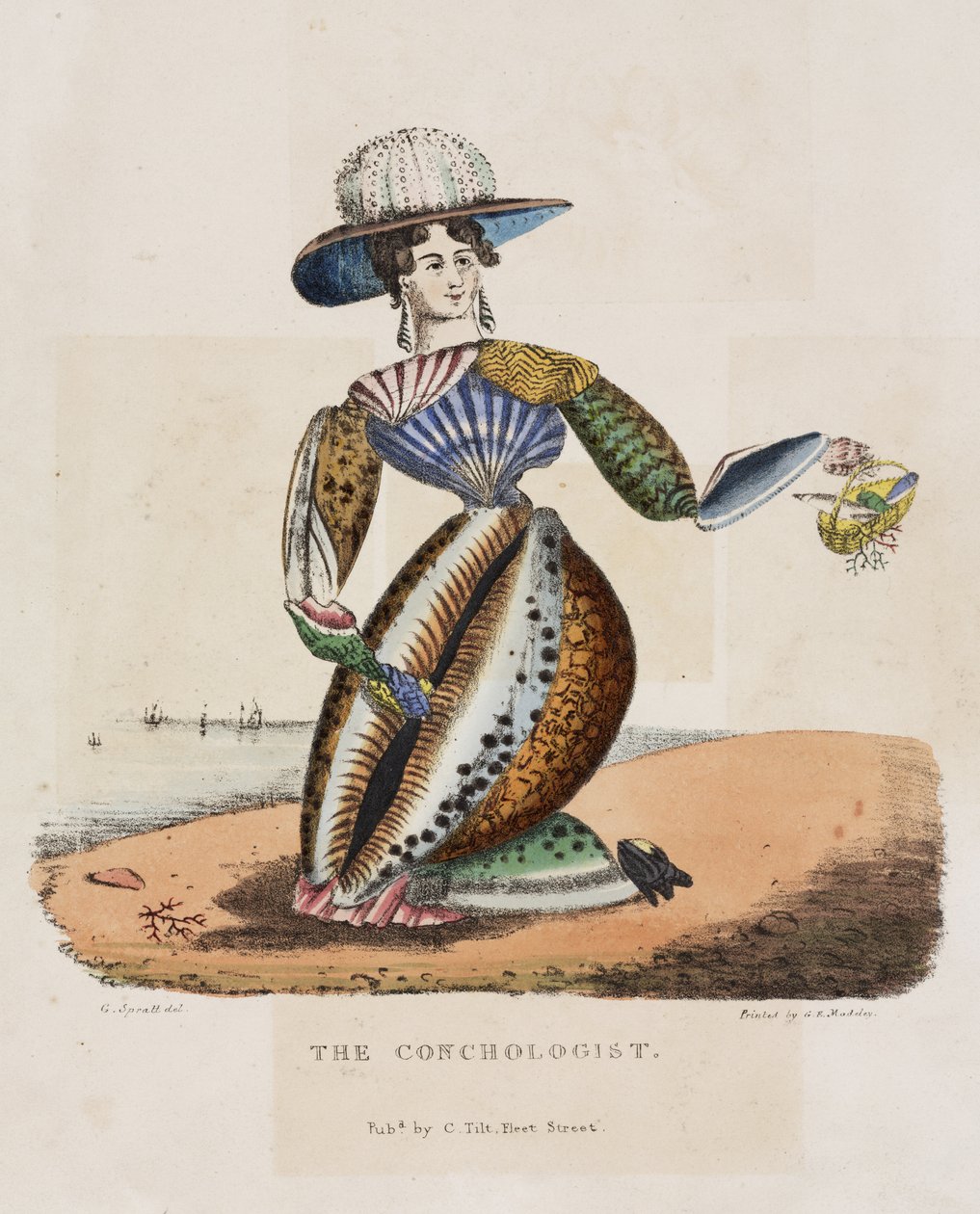 The Conchologist, n. 1831 tekijältä G. Spratt