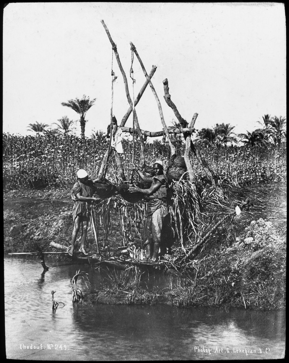 Shaduf Niilillä, Egypti, vuodelta 1890 tekijältä Gabriel Lekegian