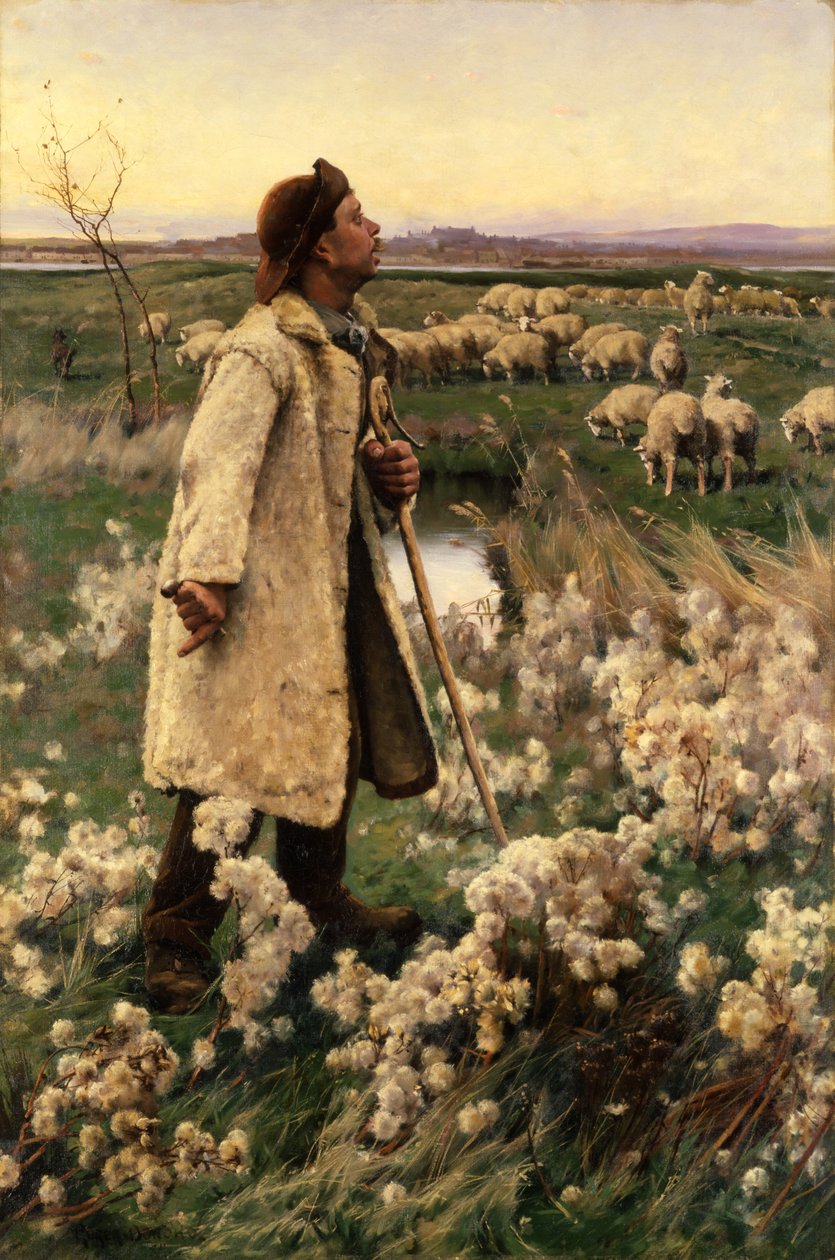 Paimen, 1884. tekijältä Gaines Ruger Donoho
