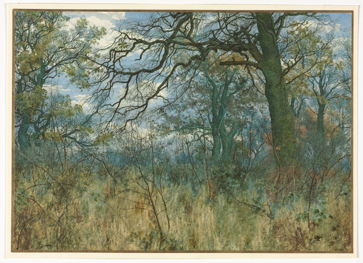Puut ja aluskasvillisuus, 1885. tekijältä Garden William Fraser