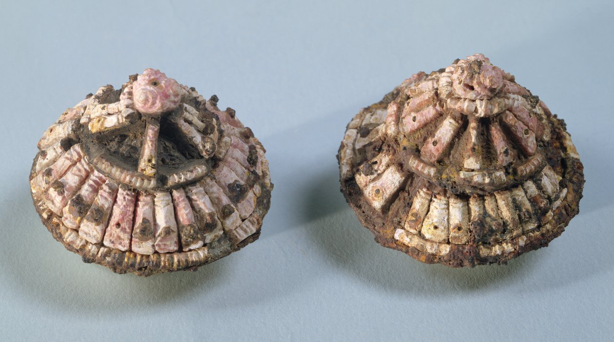 Hevosen purennan pääkappaleet, Chalons-sur-Marne, Tene I (475-300 eaa.) (metallia ja korallia). tekijältä Gaulish