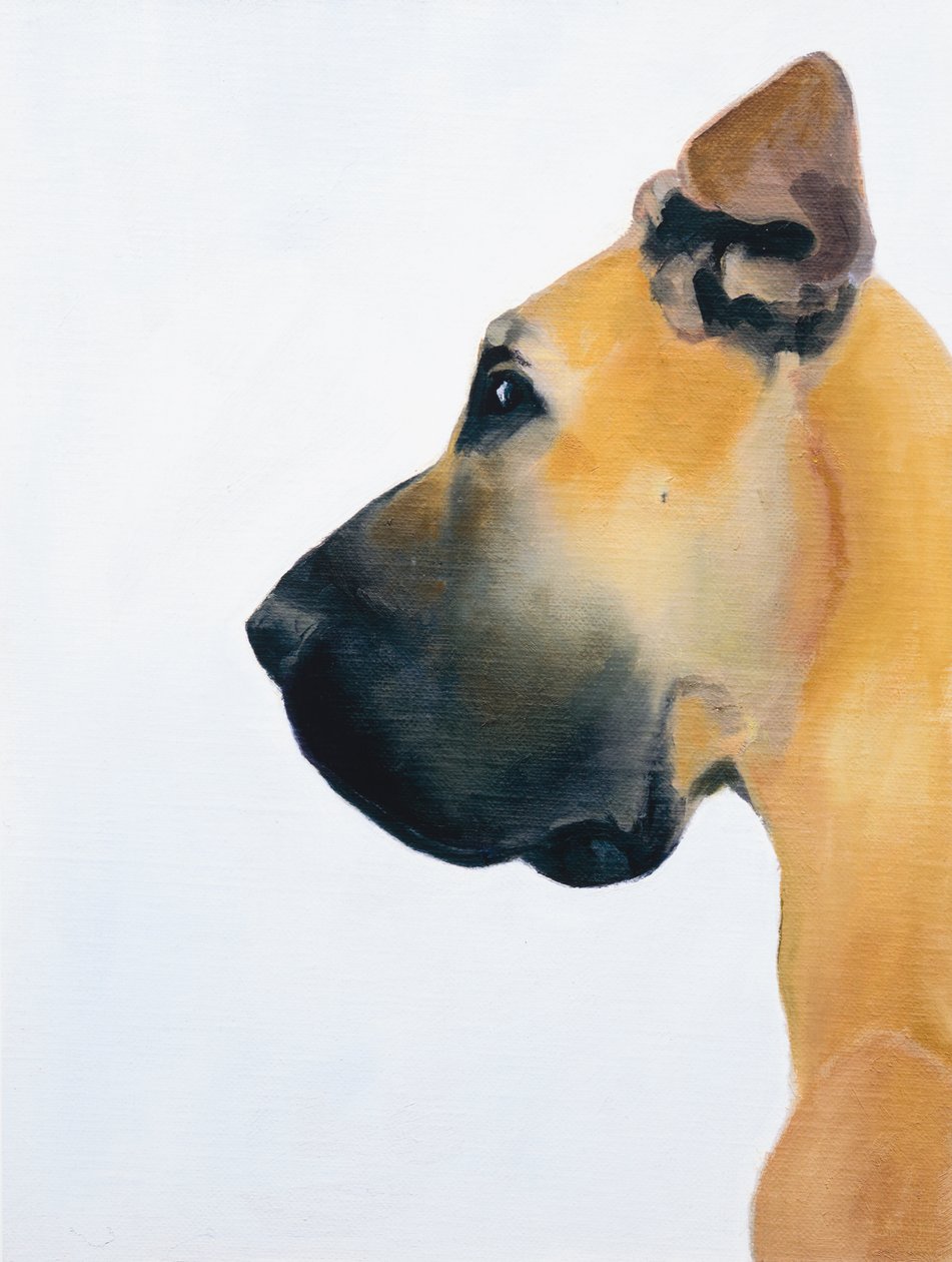 Great Dane, 2016 (öljy laudalle) tekijältä Genevieve French