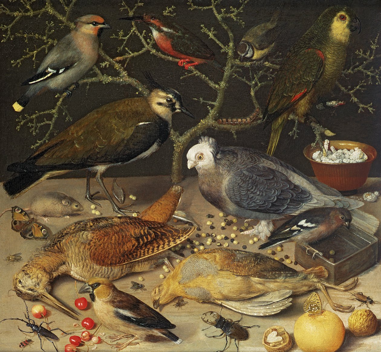 Lintujen ja hyönteisten asetelma, 1637 tekijältä Georg Flegel
