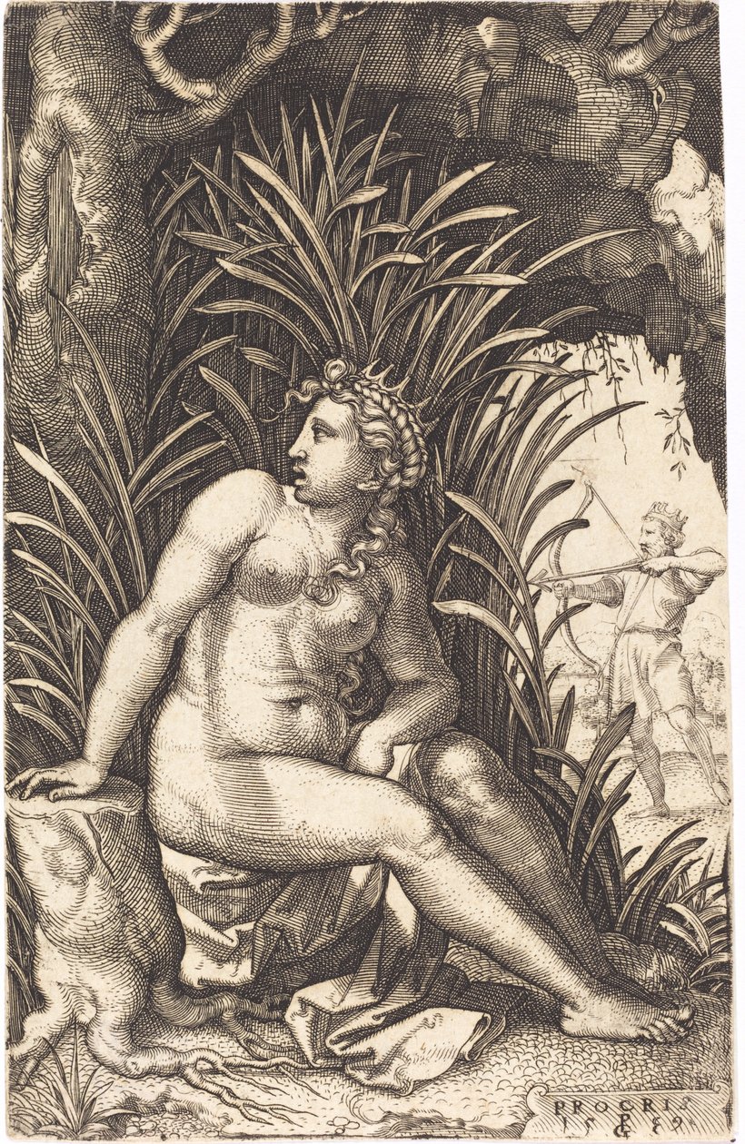 procris tekijältä Georg Pencz