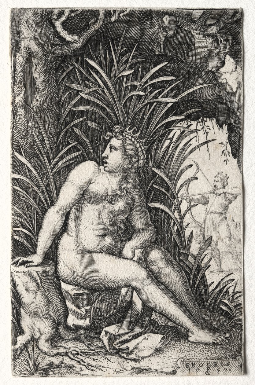 procris tekijältä Georg Pencz