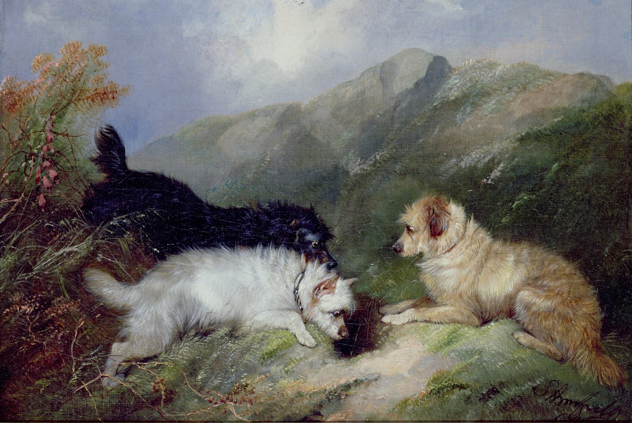 Terrierit Kanit tekijältä George Armfield