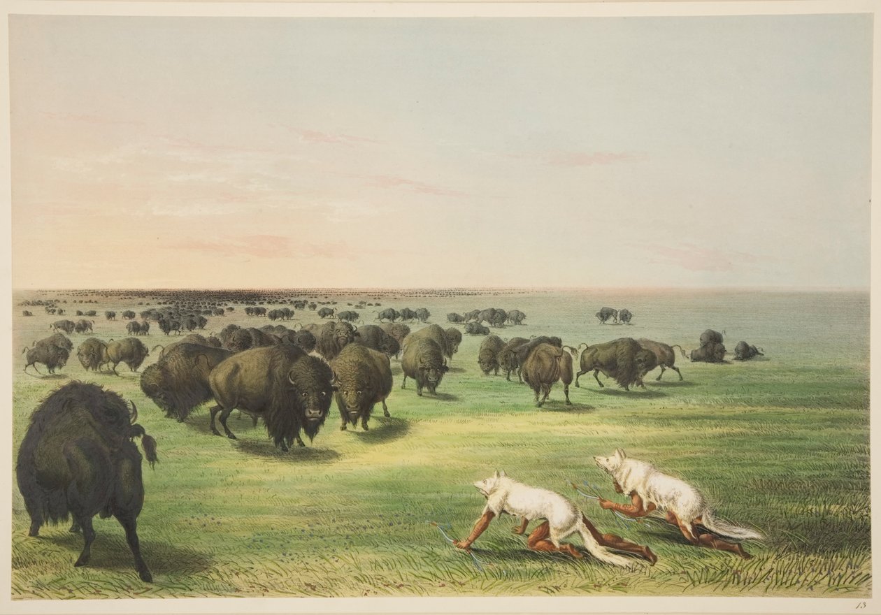 Intiaanit metsästämässä puhvelia sudennahanaamion alla, teoksesta Illustrations of the Manners, Customs & Conditions of the North American Indians, Lontoo, 1845 (käsinvärinen kaiverrus) tekijältä George Catlin