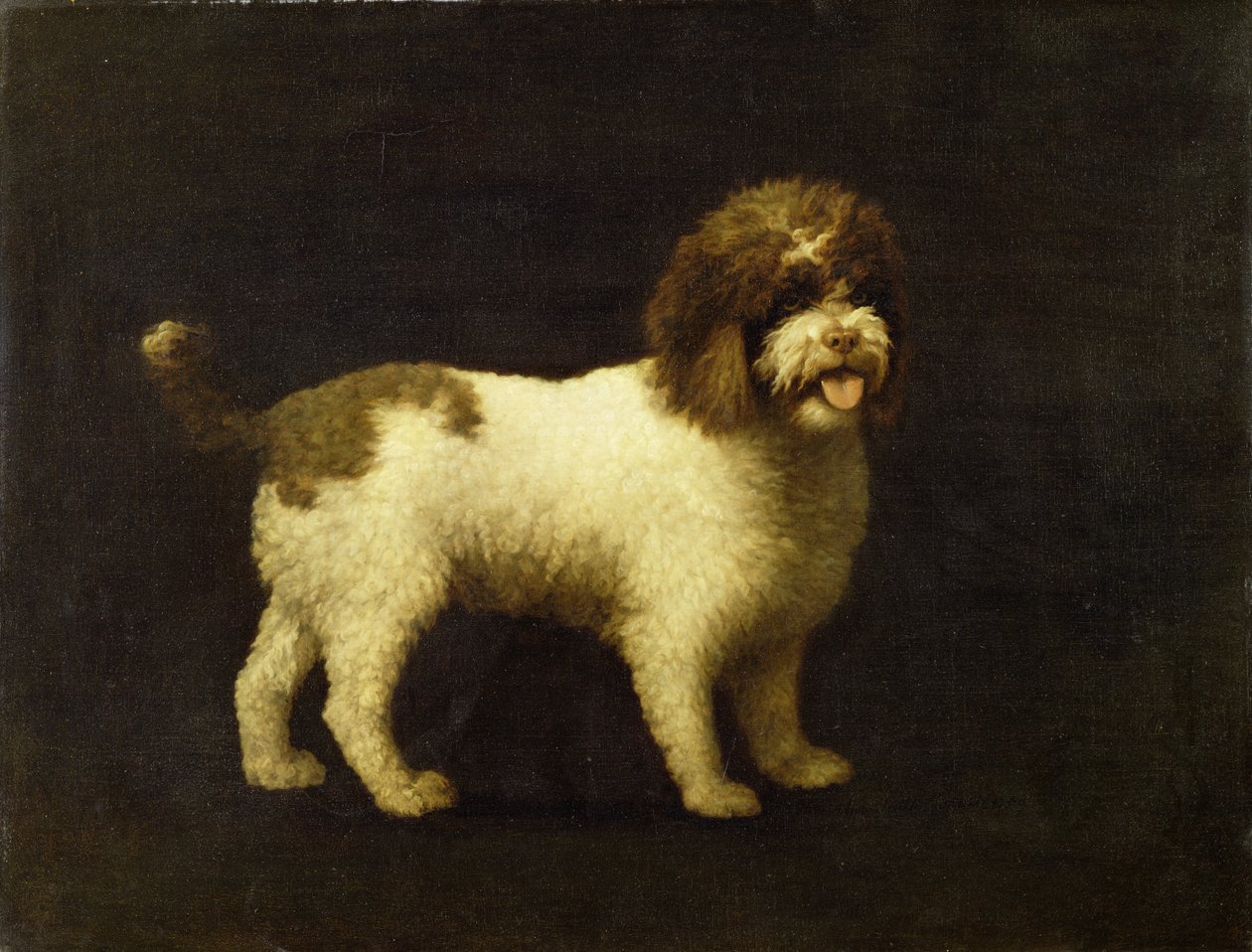 Vesispanieli, 1769 tekijältä George Stubbs