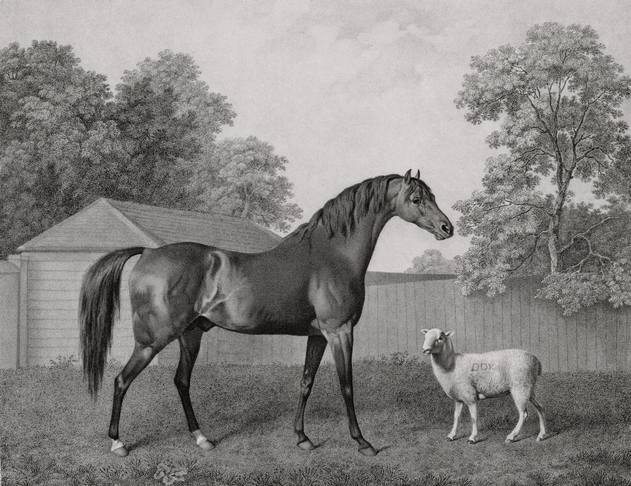 Dungannon, kaiverrus George Townley Stubbs (1756-1815) pub. 1794 tekijältä George Stubbs