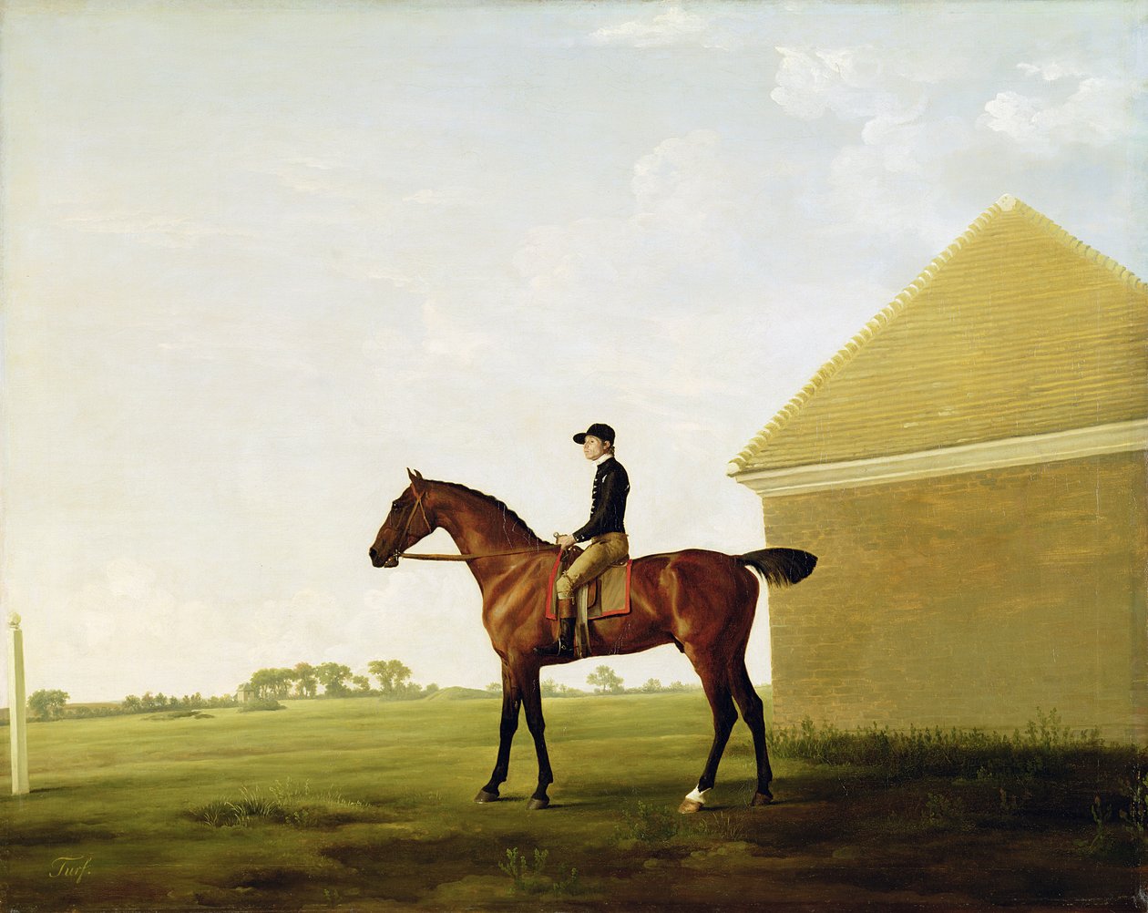 Turvetta, n.1765 (ks. 152743). tekijältä George Stubbs
