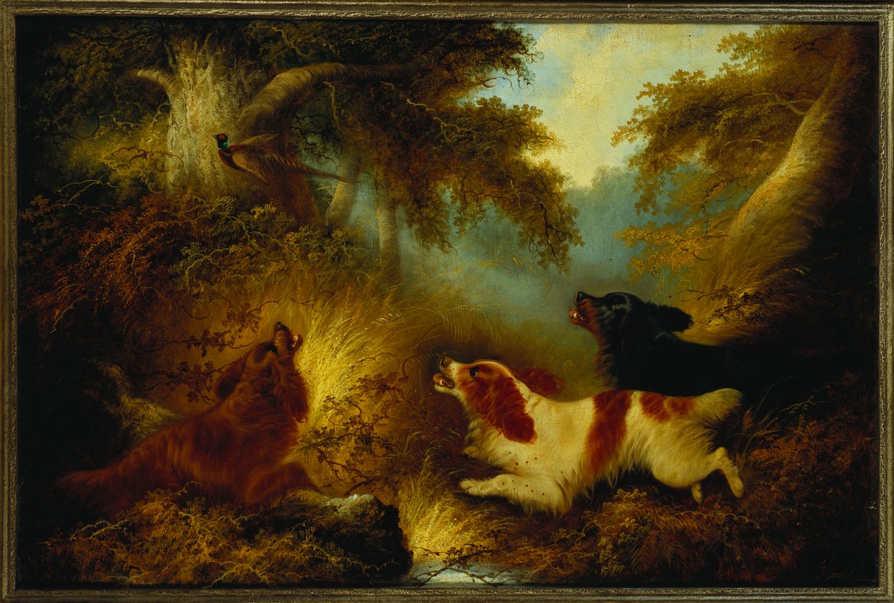 Spanielit kasvattamassa fasaania tekijältä George Armfield
