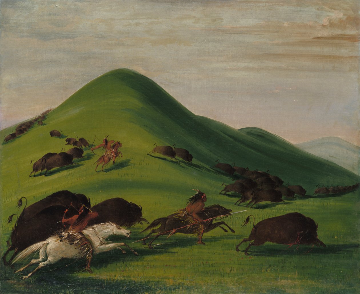 Buffalo Chase yli Prairie Bluffsin, 1832-1833. tekijältä George Catlin