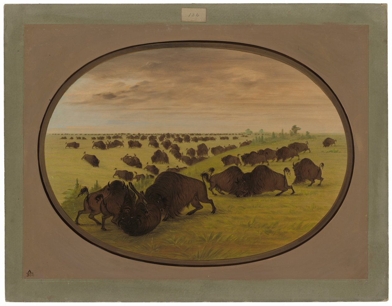 Härkätaistelu tekijältä George Catlin