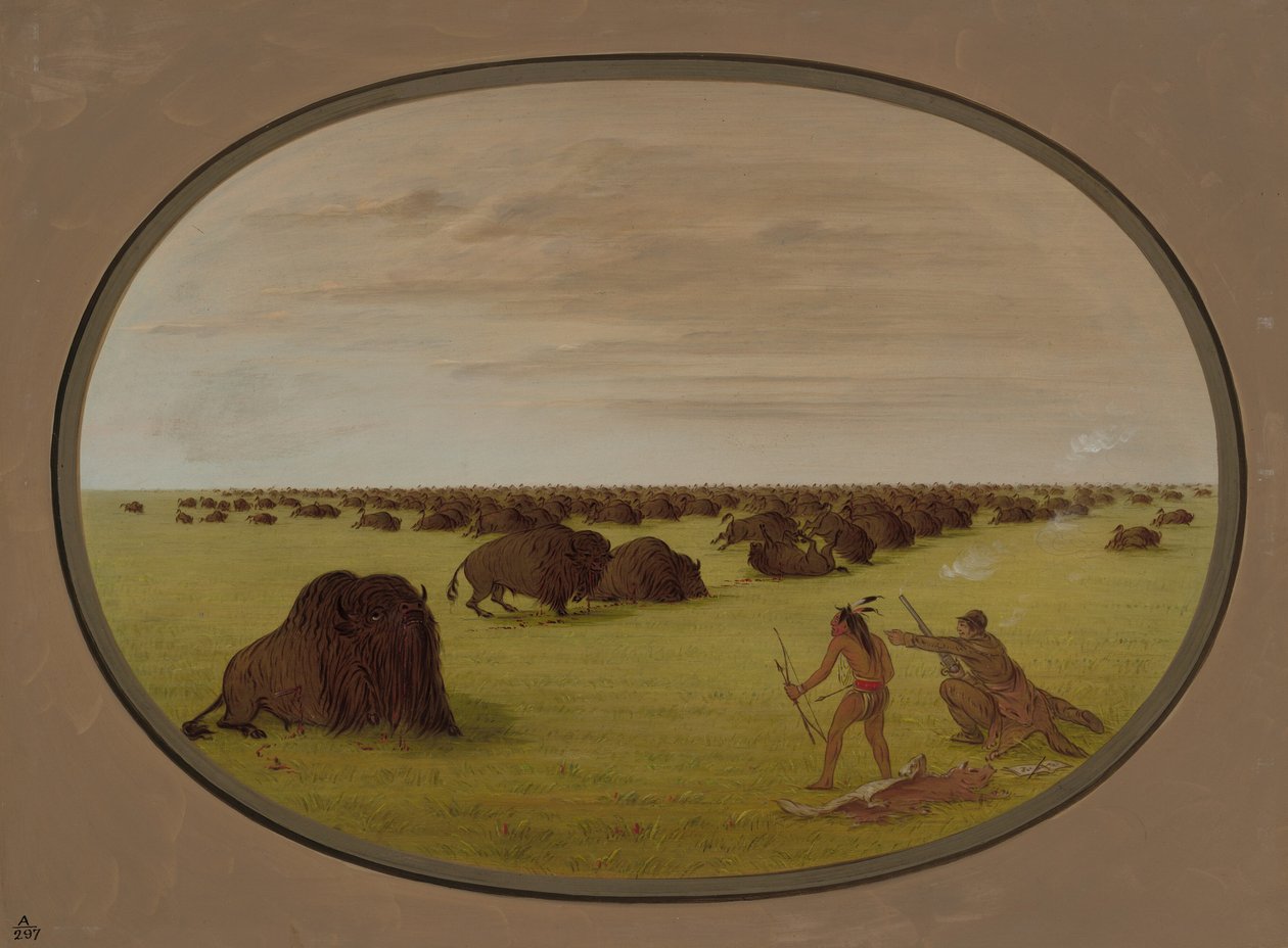 Catlin ja Indian Attacking Buffalo, 18611869. tekijältä George Catlin