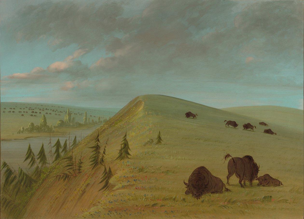 Cedar Bluffs, 18611869. tekijältä George Catlin