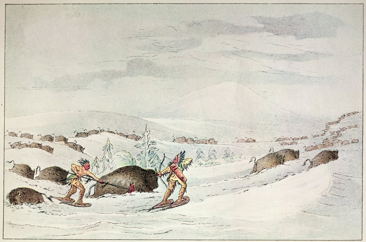 Buffalo metsästys lumikengillä tekijältä George Catlin
