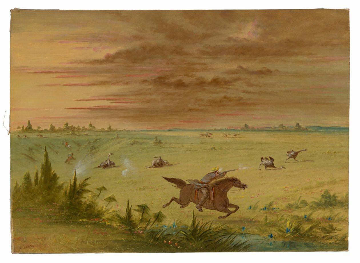 Ostrich Chase, Buenos Aires - Aucafinnish tekijältä George Catlin