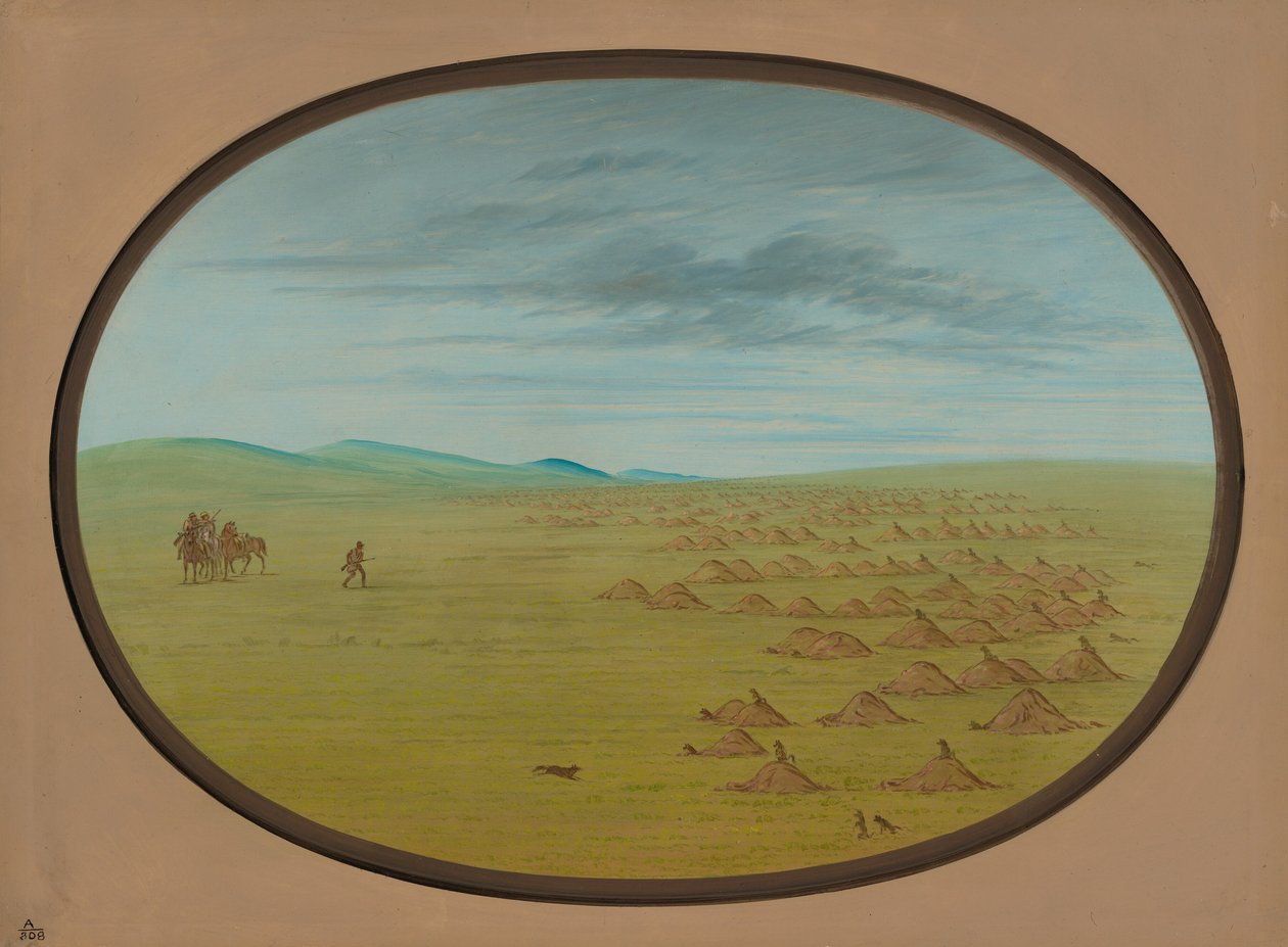 Prairie Dog Village, 18611869. tekijältä George Catlin