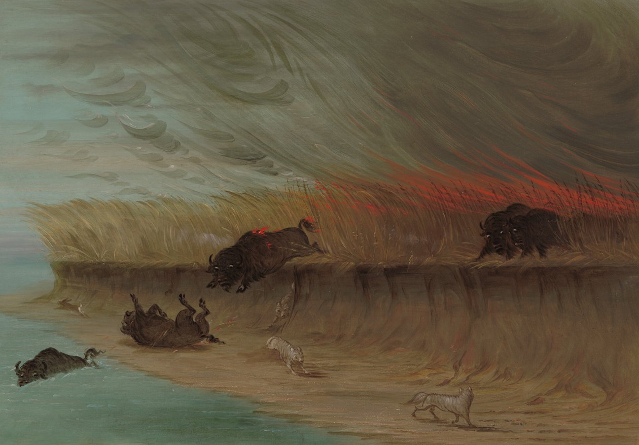 Prairie Meadows Burning, 18611869. tekijältä George Catlin