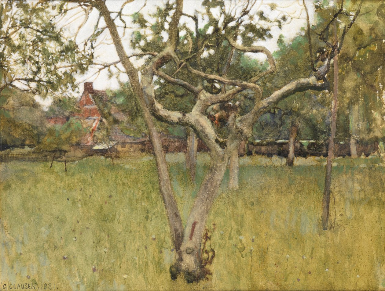 Hedelmätarha tekijältä George Clausen