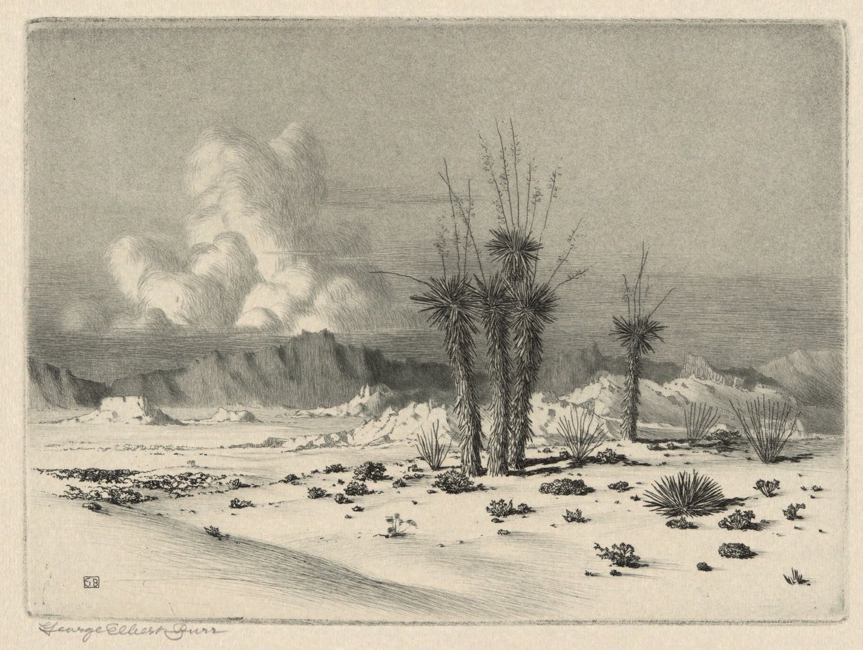 Ilta, Arizona tekijältä George Elbert Burr