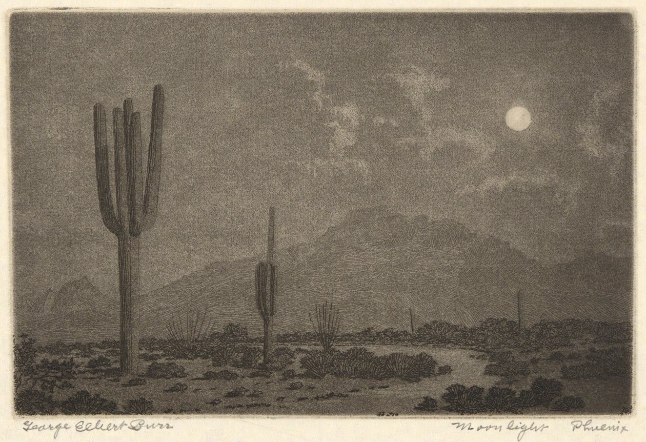 Moonlight-Phoenix tekijältä George Elbert Burr