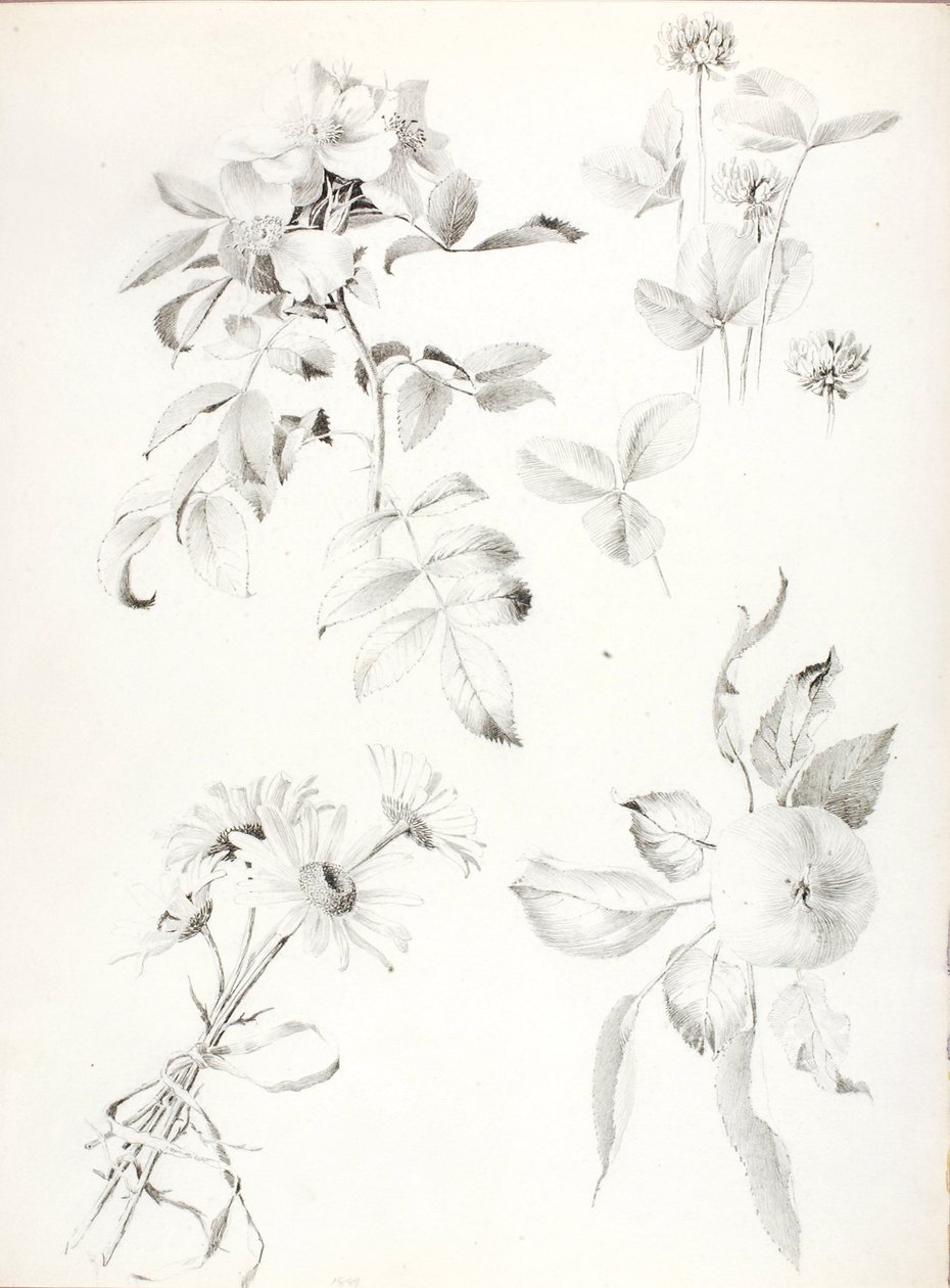 Untitled tekijältä George Elbert Burr
