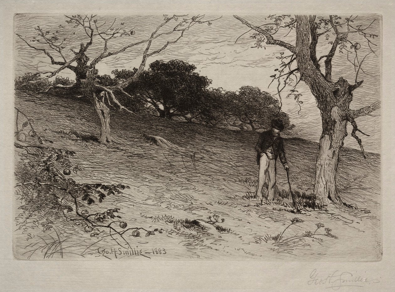 Maisema, 1883. tekijältä George Henry Smillie