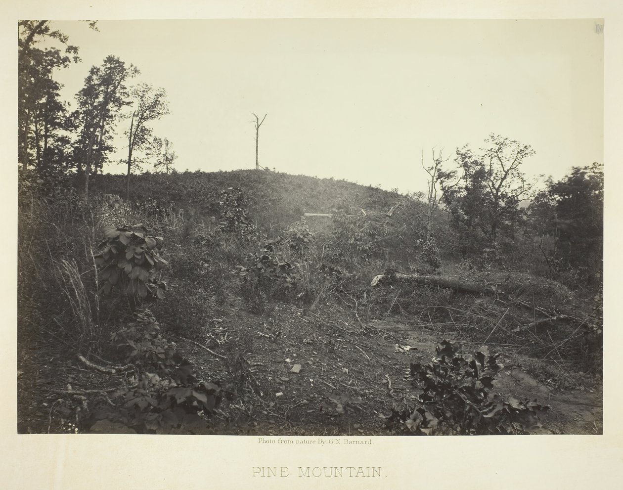 Pine Mountain, 1866. tekijältä George N. Barnard