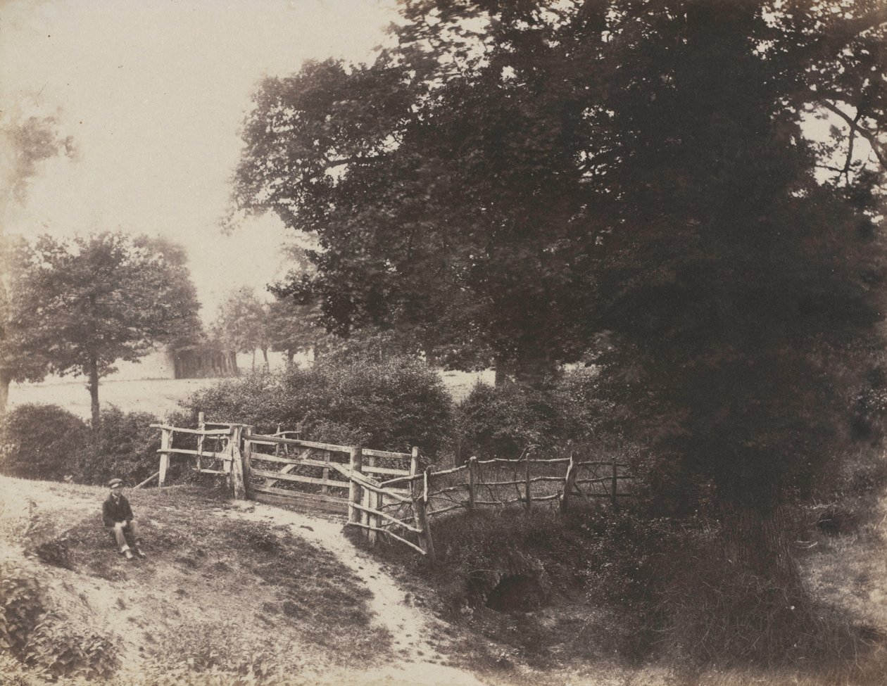 Green Meadows, 1854. tekijältä George Shadbolt