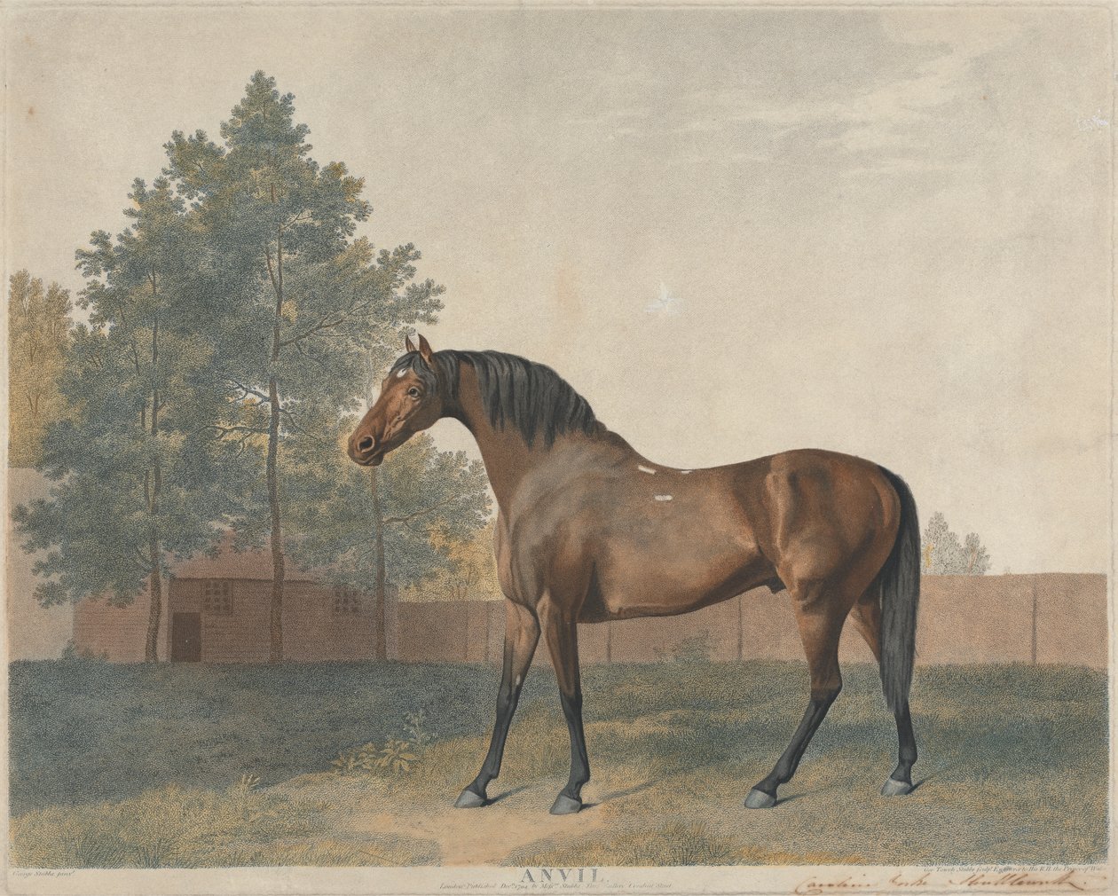 "Alasin" tekijältä George Stubbs