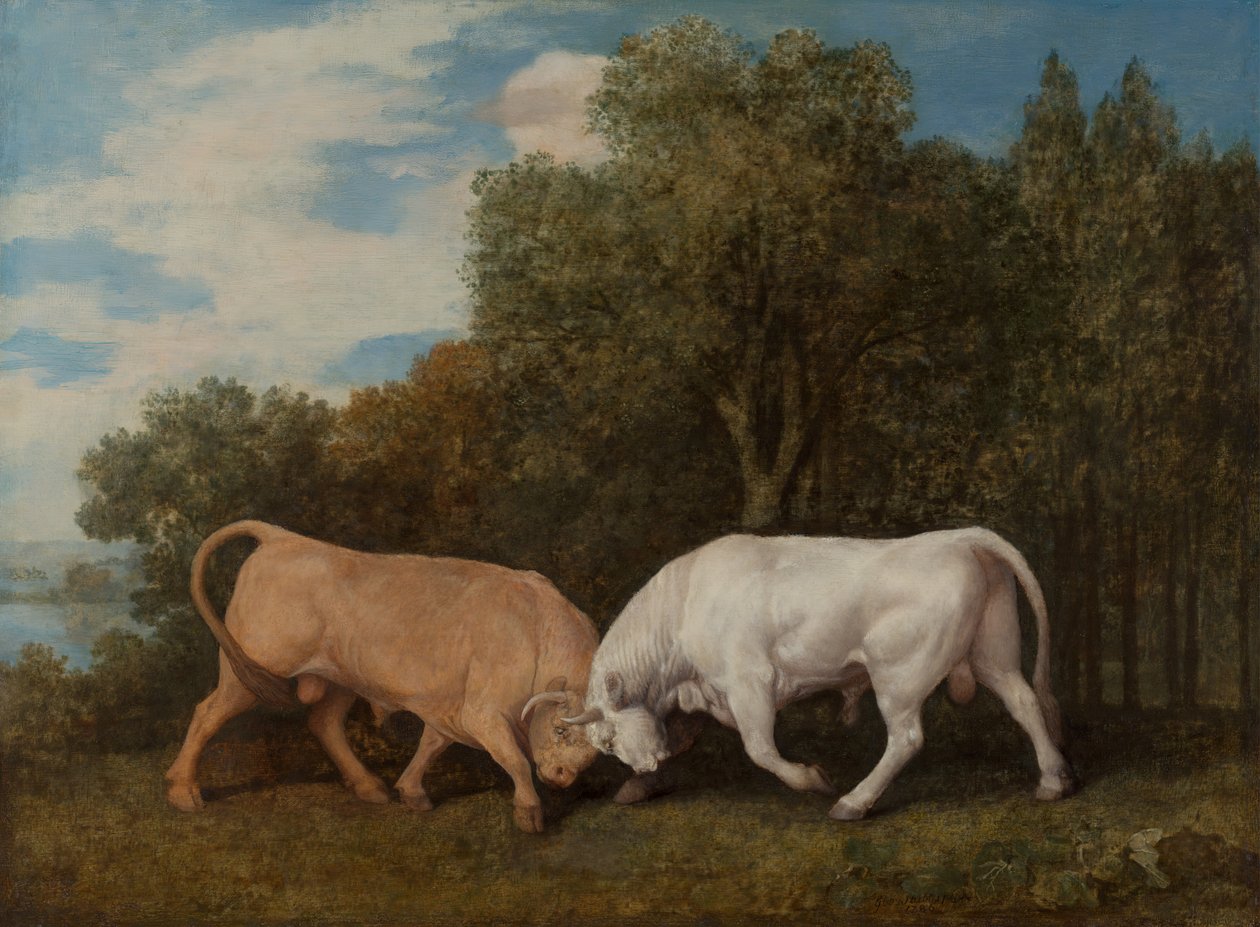 Härkätaistelu, 1786. tekijältä George Stubbs