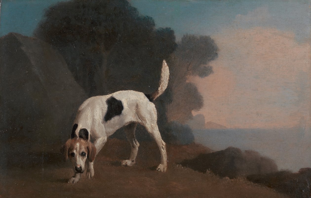 Foxhound, Foxhound on the Scent, n. 1760. tekijältä George Stubbs