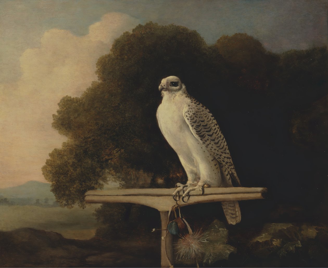 Greenland Falcon, Gyr Falcon, 1780. tekijältä George Stubbs